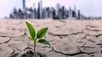 تداوم بی‌بارشی؛ ۱۵ استان در کُما/ اینفوگرافیک