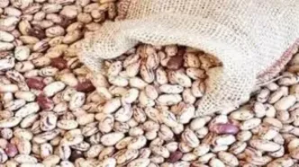 قیمت جدید لوبیا چیتی مشخص شد