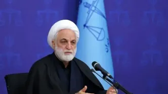 درخواست محسنی اژه‌ای از سازمان بازرسی برای برخورد با یک تخلف آشکار