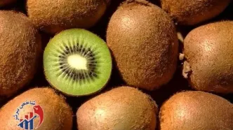 میوه ناب ایران به ۲۳ کشور صادر شد