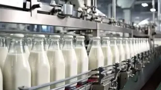 دلار، لبنیات را می‌بلعد؟ حذف ارز ترجیحی، فاجعه یا فرصت؟