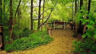 بهشت‌های پنهان گیلان؛ بهترین مسیرهای طبیعت‌گردی اطراف رشت برای یک سفر سبز و آرام