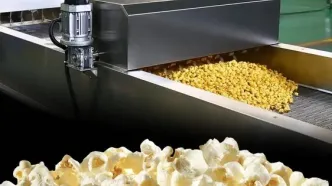 ۱۸۰ تن ذرت حجیم شده در قوچان: فاجعه‌ای پنهان یا معجزه‌ای اقتصادی؟