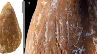 نئاندرتال‌ها با مداد شمعی عصر حجر نقاشی می‌کردند