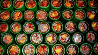 تصاویر؛ طعم سنت در سفره مدرن