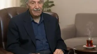 محمد فاضلی درگذشت