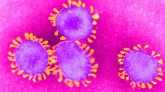 ابتلا به کرونا حین بارداری می‌تواند ریسک اوتیسم را در فرزند افزایش دهد