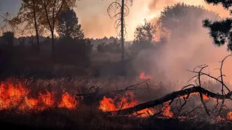 گزارش متناقض مجلس درباره آتش‌سوزی جنگل الیت