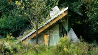 خانه‌ای رویایی که سقفش میزبان پرندگان و خفاش‌هاست