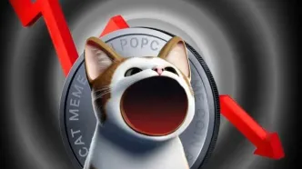 دستکاری ۳۰ میلیون دلاری؛ احتمال سقوط POPCAT به زیر ۰.۱۰ دلار؟