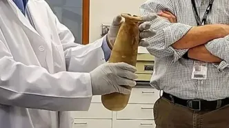 رمزگشایی از کوزه هخامنشی در مصر