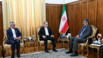 تأکید وزیر امور خارجه بر احصاء ظرفیت‌های فرهنگی، تاریخی و اقتصادی استان یزد