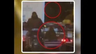 سرقت عجیب گوسفندان از کامیون در حال حرکت!