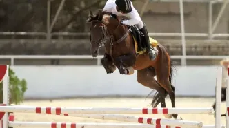 نامه پیشکسوتان و قهرمانان سوارکاری به وزیر ورزش: انتخابات فدراسیون باید سالم برگزار شود