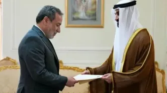 سفیر جدید امارات با عراقچی دیدار کرد