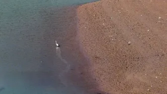 تصاویر؛ سد لتیان به پایین‌ترین سطح ذخیره آب رسید