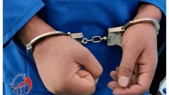 عامل آتش‌سوزی جنگل‌های مازندران دستگیر شد