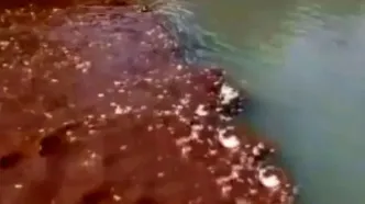 ورود مستقیم فاضلاب از چندین نقطه به رودخانه دز / این آب، منبع شرب مردم جنوب خوزستان و آبیاری صیفی جات دزفول است !