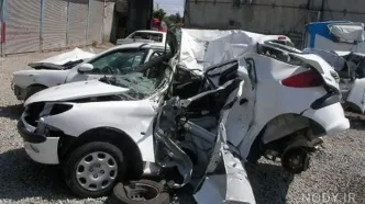 ویدئو عجیبی که از یک پژو 206 در شیراز شکار شد