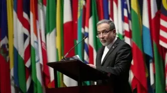 مطالبه سیدعباس عراقچی از آلمان