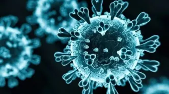 واکنش معاون وزیر بهداشت به اخبار «کرونای تیغی»