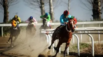 5 کاندیدای نهایی ریاست فدراسیون سوارکاری