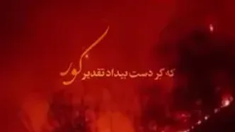 واکنش علیرضا قربانی به سوختن جنگل‌های هیرکانی