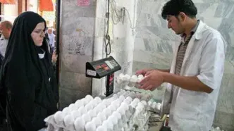 قیمت تخم مرغ منفجر شد: هر شانه چقدر آب می‌خورد؟