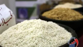 خبر خوش درباره قیمت برنج اعلام شد