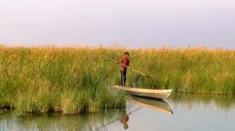 ۵۸ درصد تالاب شادگان خشک شده است
