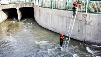 فاجعه پاسداران/ ۹ سال بعد از روزی که مریم را آب برد؛ هنوز قانون می‌گوید زنده است!