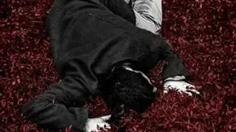 «به باد هم بگو» از آرژانتین جایزه گرفت