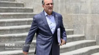 رفیع‌زاده: اخراج ۱۵٪ از کارکنان دولت؟ دولت زیر بار نمی‌رود!