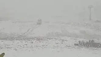 نمایی دیگر از بارش برف پاییزی امروز در تهران