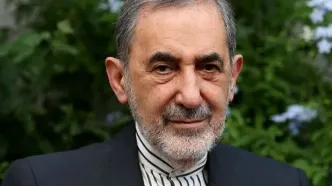 ولایتی: ایران در جنگ اخیر آمریکا، انگلیس و ناتو را مقتدرانه شکست داد/ انگلیس  آتش‌بیار معرکه در جنگ اوکراین و روسیه است/ برخی از کسانی که در اجلاس منامه علیه ایران سخن گفتند، در سودان و یمن از تروریست‌ها حمایت می‌کنند