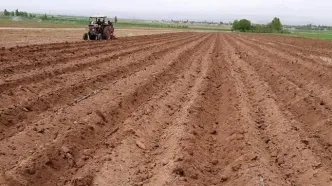 کشاورزان به‌زودی هفده‌ هزار و ۸۵۰ هکتار از زمین‌های خرمشهر را با بذر کلزا، گندم و جو سبز می‌کنند