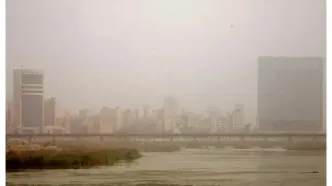 قائم پناه: اگر آلودگی هوا بیشتر از این شود، کشتار می‌کند