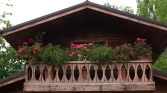 غذای سنتی آذربایجان؛ طرز تهیه مربا و کیک انجیری در دل طبیعت روستا