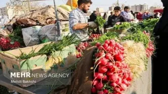 قیمت سبزیجات خورد شد: خیز بلند سرما در بازار!