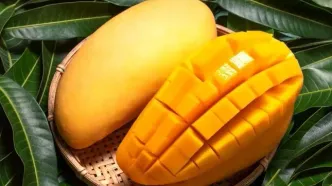 پای سلطان میوه‌ها از کنیا به ایران باز شد