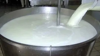 کاهش هزار تنی تولید روزانه شیرخام در استان تهران