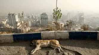 شاخص آلودگی هوا تهران امروز چهارشنبه ۵ آذر