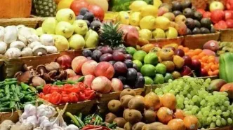 سیستان و بلوچستان، انبار میوه جهان: صادرات غول‌آسای محصولات گلخانه‌ای!