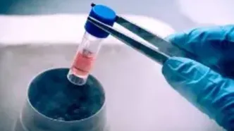 در مورد فریز تخمک بیشتر بدانید!