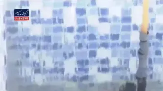 ۱۰ هزار درخت در چیتگر قطع شدند؛ علت بی آبی است یا خالص بودن جنگل؟