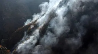 بازدید میدانی دادستان مازندران از محل آتش‌سوزی جنگل‌های الیت/تحقیقات برای روشن شدن علت بروز آتش‌سوزی ادامه دارد