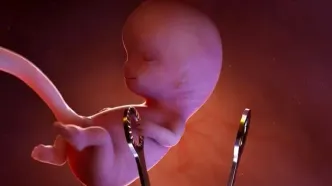 انهدام شبکه سازمان‌یافته سقط غیرقانونی جنین در سمنان/ متهمان روانه زندان شدند