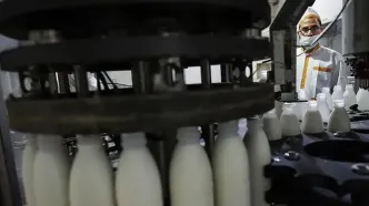 لبنیات 30 درصد گران شد