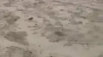 هواپیمای حامل وزیر معادن کنگو آتش گرفت