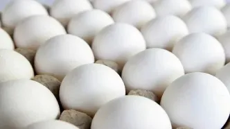 قیمت جدید تخم‌مرغ اعلام شد